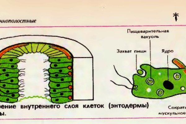 Как зайти на кракен с телефона