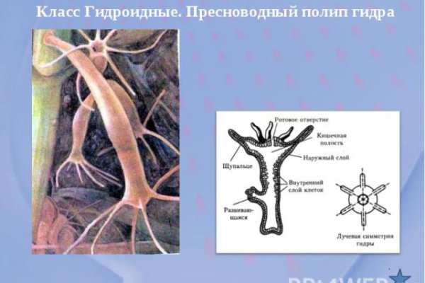 Кракен рабочая ссылка 2024