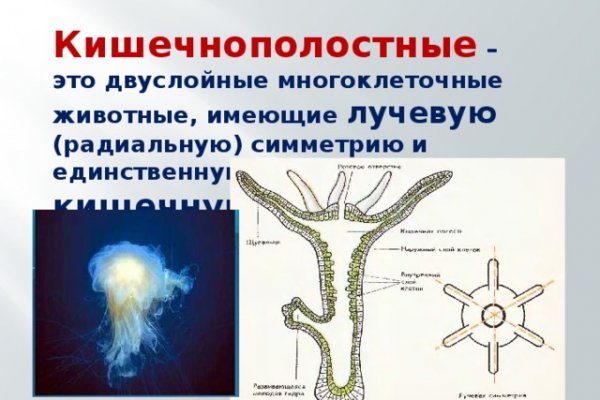 Кракен даркнет войти