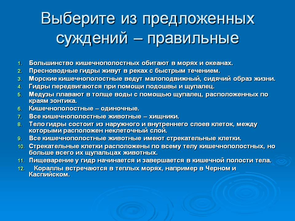 Кракен войти